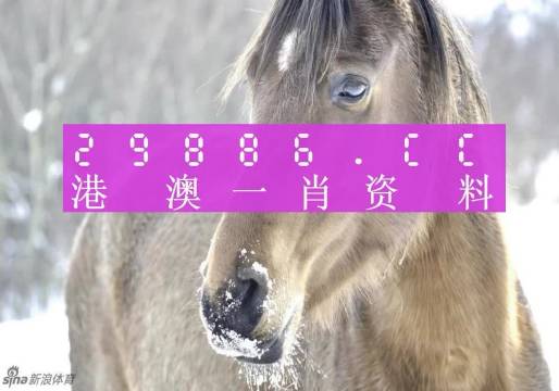 澳門(mén)一肖一碼與考研，犯罪行為的警示與學(xué)術(shù)追求的正當(dāng)性，澳門(mén)一肖一碼與考研，犯罪警示與學(xué)術(shù)追求的正當(dāng)性探討
